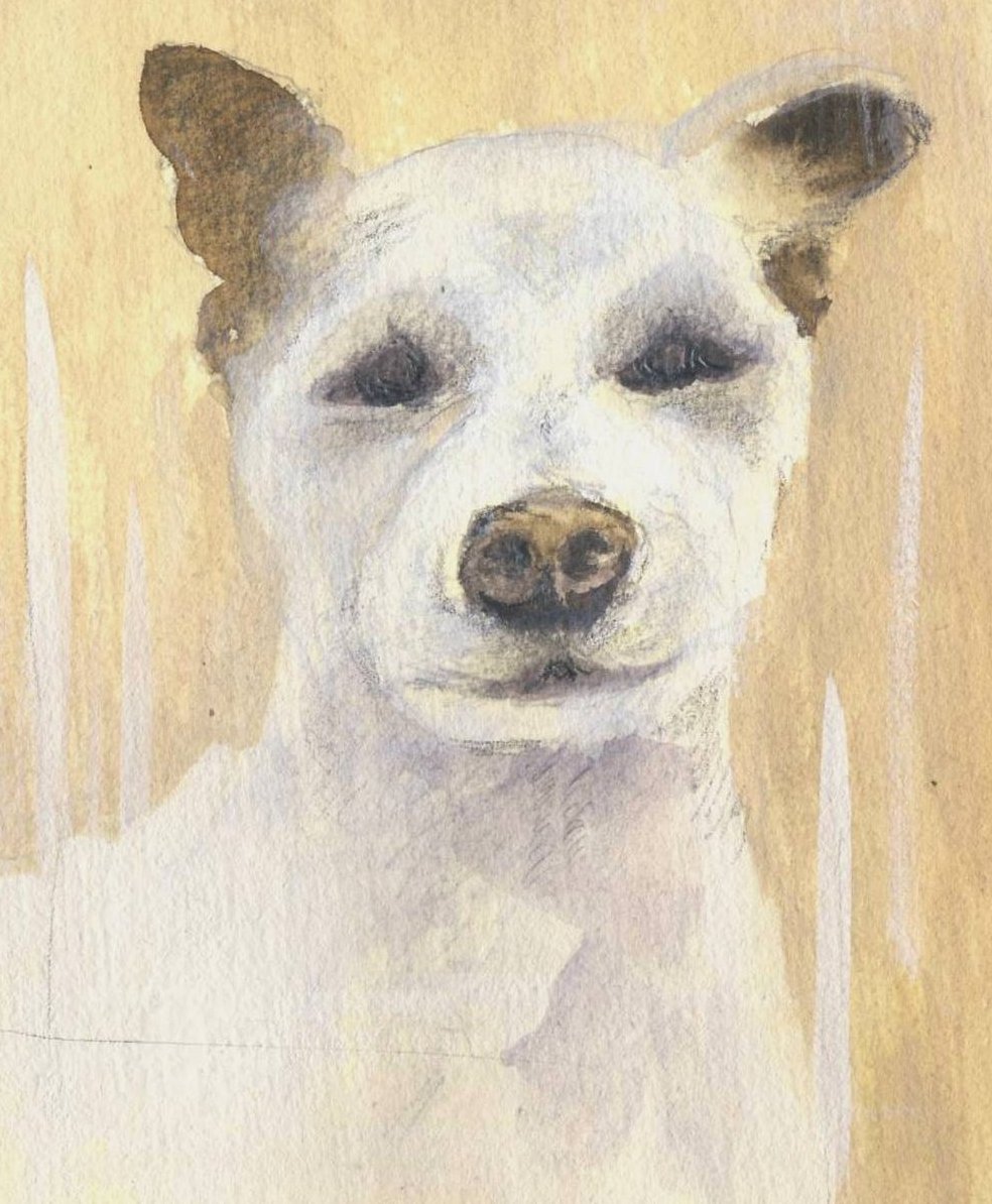1000Spiegel_Hund1.JPG