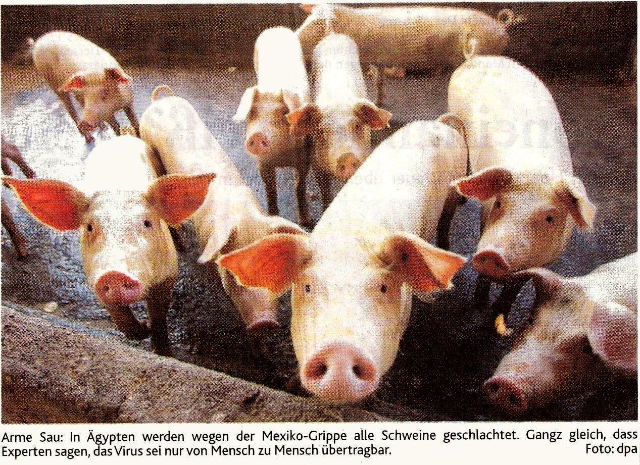 AZ_Aus_aller_Welt_30-04-09(2).jpg