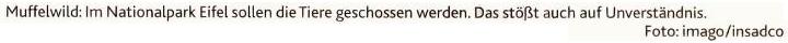 AZ_Leserbriefe_01_2010-03-29.jpg