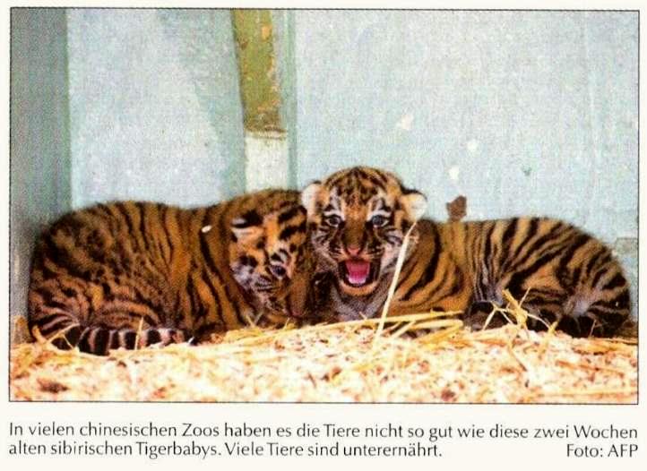 SuperSonntag_2010-06-27(6).jpg