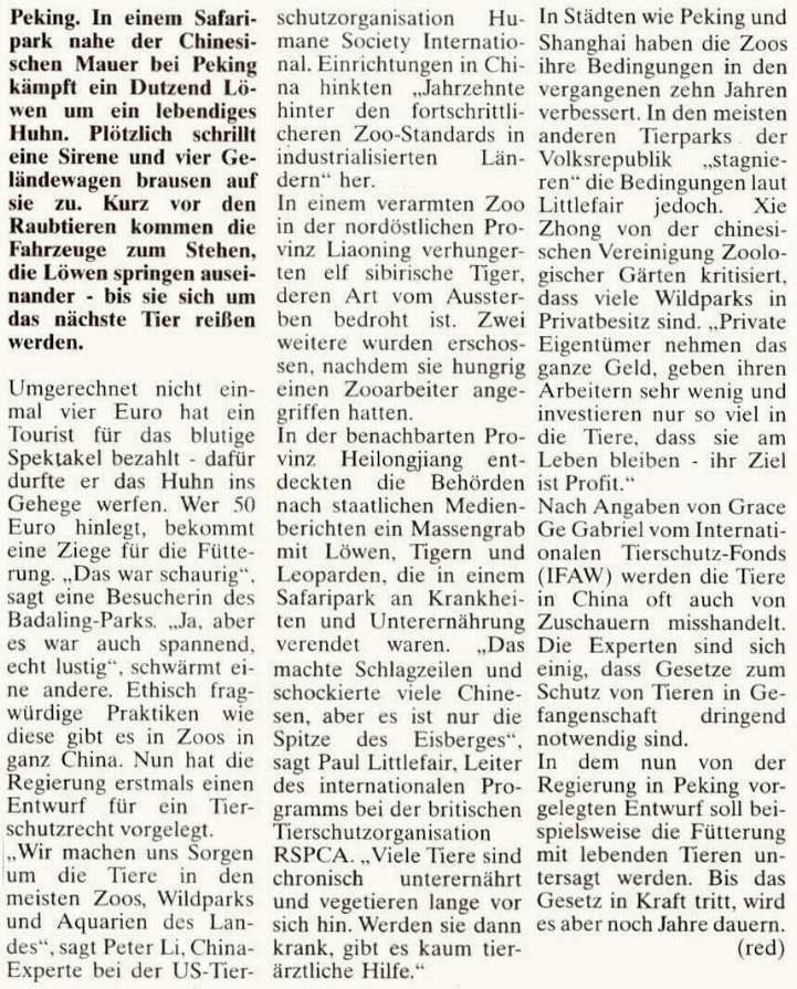 SuperSonntag_2010-06-27(7).jpg