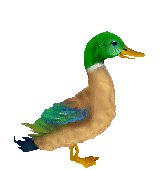 gans1.gif