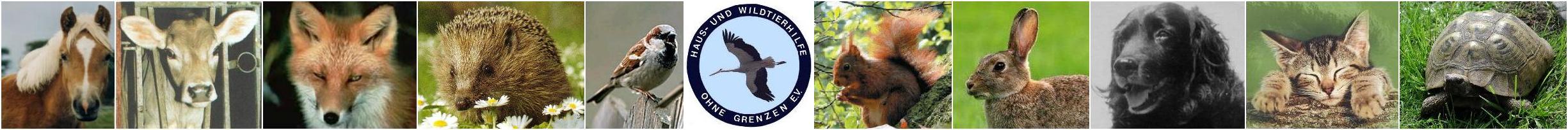 Unser Logo