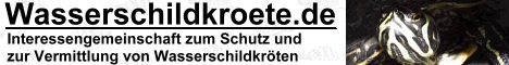 Die Wasserschildkroeten Side im Netz