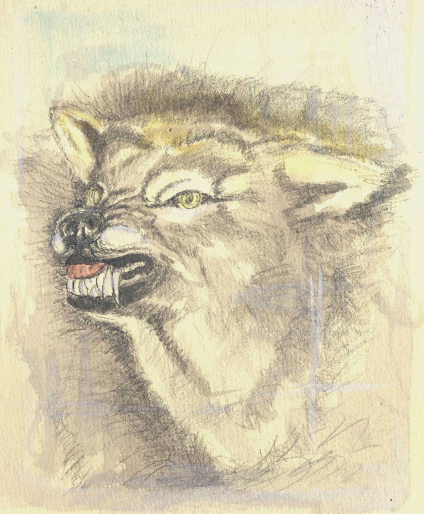1000Spiegel_Hund2.JPG