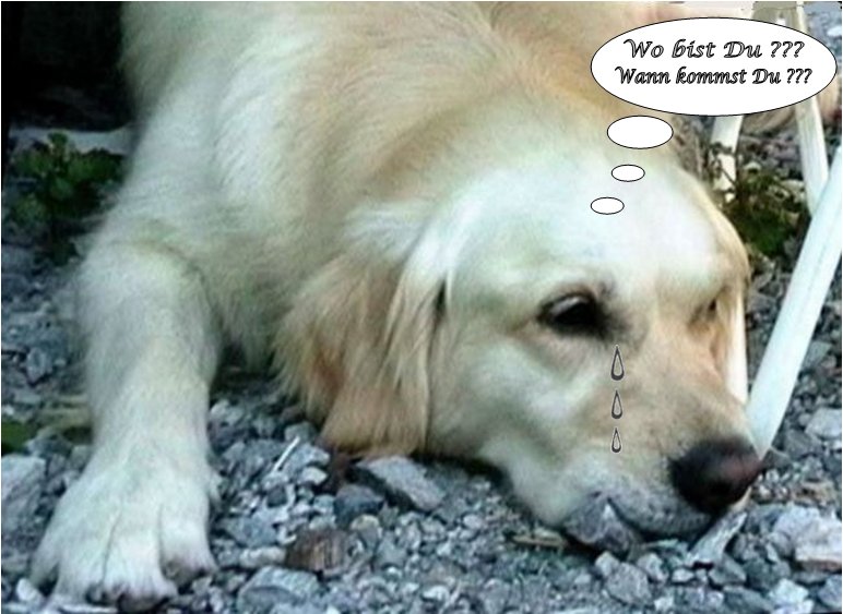 Bild(10).jpg
