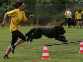 Bild(5).jpg