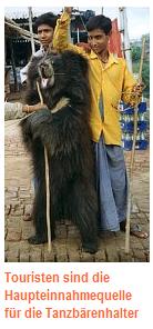 baer04.jpg