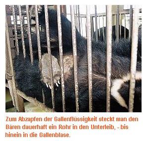 baer07.jpg