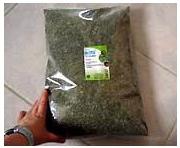 Haus- und Wildtierhilfe ohne Grenzen e.V.