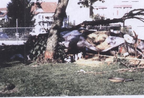 k_07.jpg