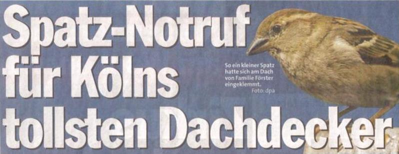 spatz1.jpg