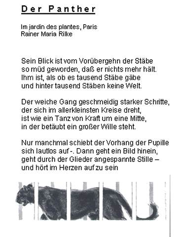 Haus- und Wildtierhilfe ohne Grenzen e.V.