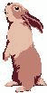 hase1.gif