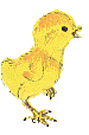 kueken2.gif
