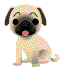 neueNase.gif
